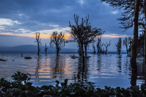 Lake Nakuru